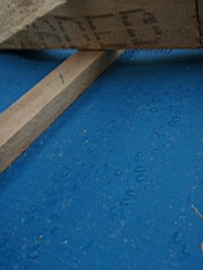 carrowcrory studio-4044.JPG